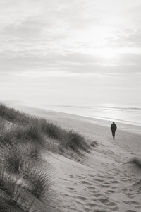 wandelaarstrand.png